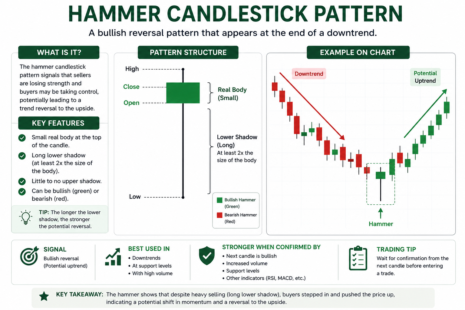 Educational infographic showing a hammer candlestick pattern with labeled structure, long lower shadow, small body, and bullish reversal chart example.